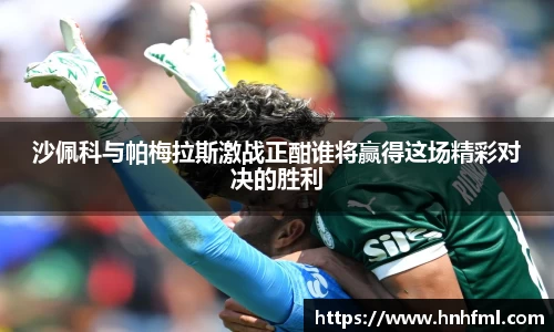 沙佩科与帕梅拉斯激战正酣谁将赢得这场精彩对决的胜利